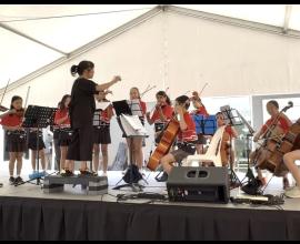IMSS Performance