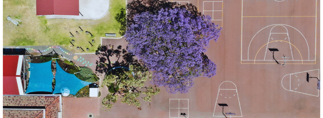 Playground Sensory Playground